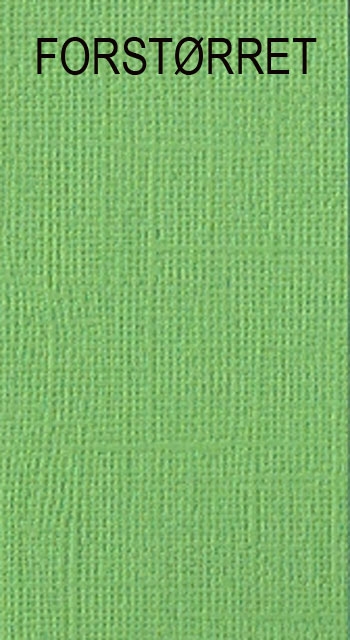 Basic karton Lys grøn 30,5x30,5cm 216g Syrefri 